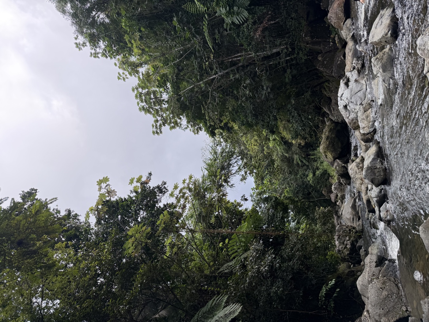 El Yunque Rainforest, Puerto Rico